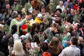 Consecration of pussy willow