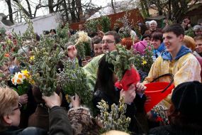 Consecration of pussy willow