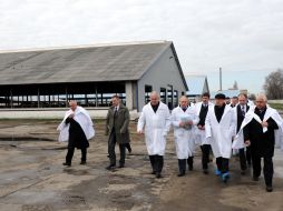 Nikolay Azarov and Anatoliy Prisyazhnyuk