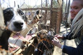 Майя Фон Гогенцоллерн