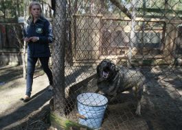 Майя Фон Гогенцоллерн