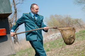 Settling of the river by fish