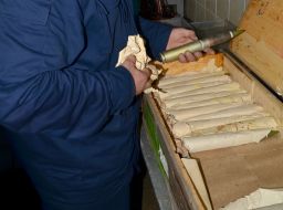 Work on the disposal of ammunition