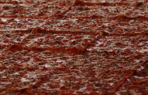 Preparation of the biggest pizza in Ukraine