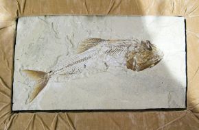 A statuette "Girl with a laurel wreath"