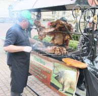 Food Festival 'Lions on a plate"