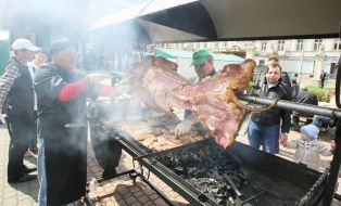 Food Festival 'Lions on a plate"