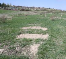 Uncovered a mass grave