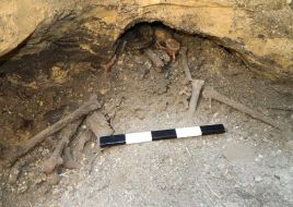 Human remains