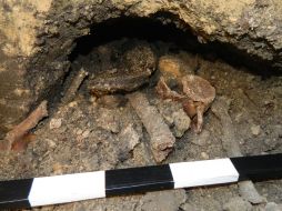 Human remains
