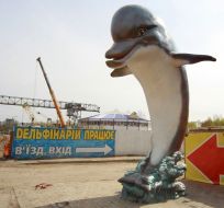 Dolphinarium "Nemo" in Kiev