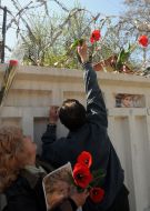 Сторонник Юлии Тимошенко