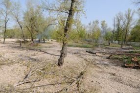 On the island Trukhanov