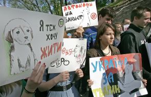 Protesters in support of homeless animals
