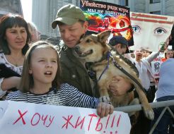 Protesters in support of homeless animals