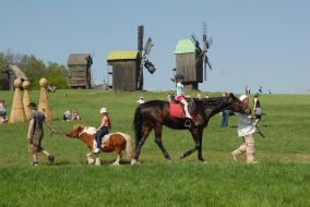 Катание на лошади и пони