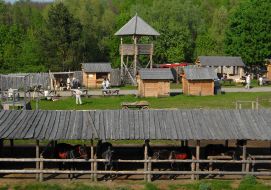 Horses stand in stall