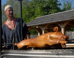 A man roasts pig on spit