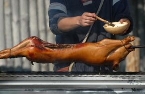 A man roasts pig on spit