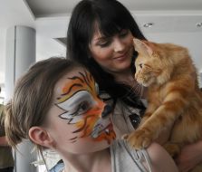 Cat of Maine Coon breed