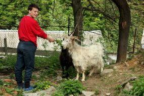 A children's orphanage