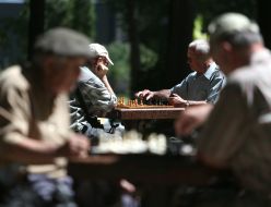 Old men play chess
