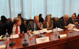 Stefan Fule and Villy Sovndal