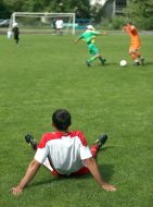 Participants of the VIII Seni Cup 2012 international soccer tournament
