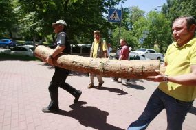 The participants of action carry logs