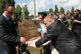 Експерти СБУ проводять експертизу