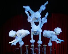Artists of circus "Kobzov"