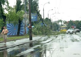 Broken tree branch on electric wires