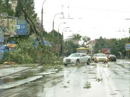 Broken tree branch on electric wires