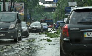 Broken tree branches on the road