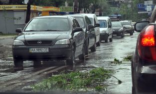 Broken tree branches on the road