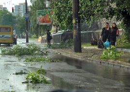 Broken tree branches on the road