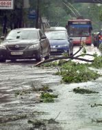 Broken tree branches on the road