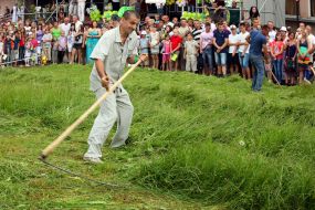 A man squints the grass