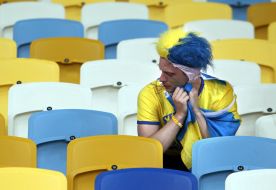 Swedish football fan