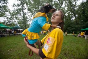 Выставка беспородных собак