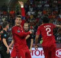 Bruno Alves and Cristiano Ronaldo 