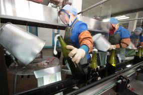 Завод шампанских вин ”Новый Свет”