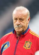 Vicente del Bosque