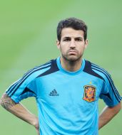 Cesc Fabregas