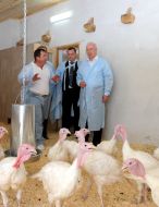 Микола Азаров