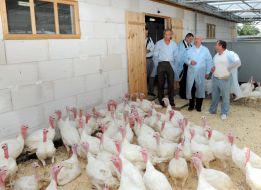 Микола Азаров та Микола Присяжнюк