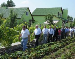 Микола Азаров