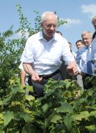 Микола Азаров