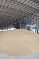 Factory on cleaning of seed