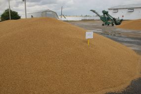 Factory on cleaning of seed